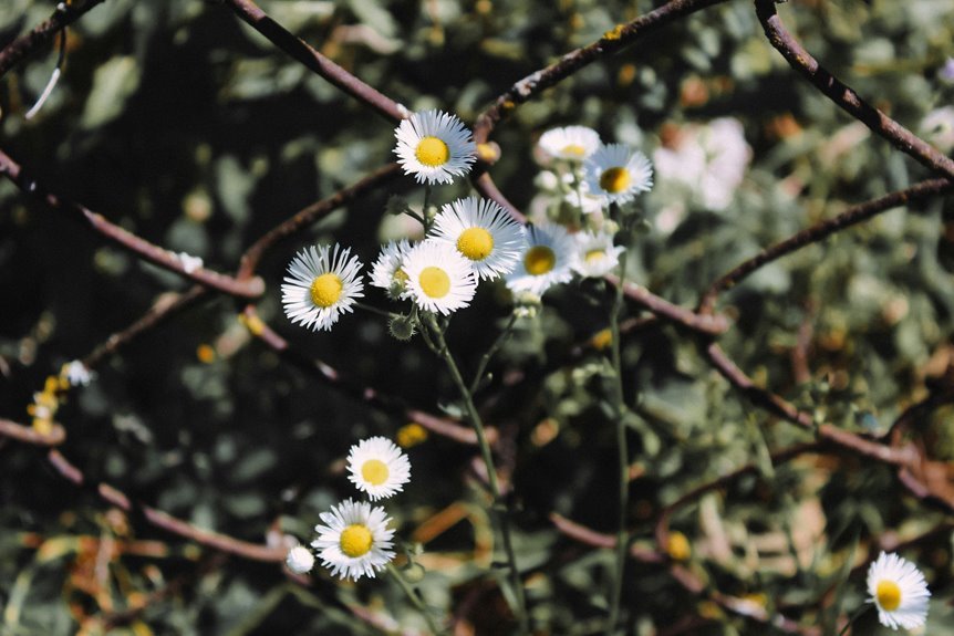 seo growth link building