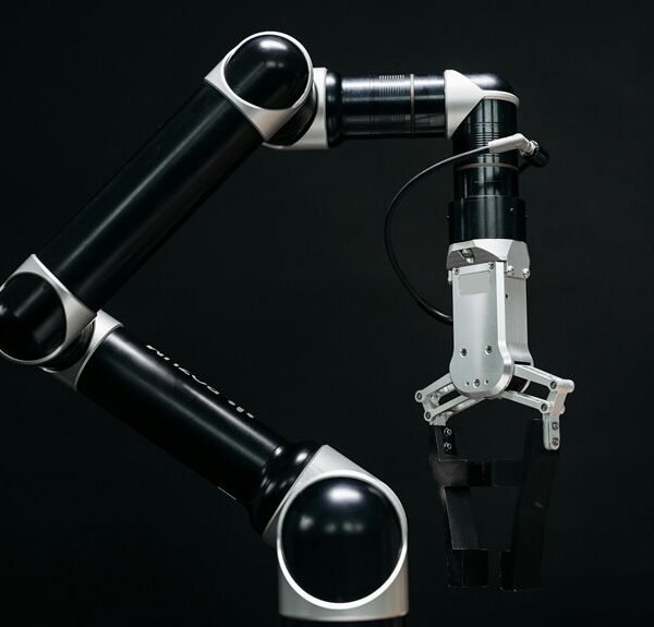 dynamic web engine identifying 935638001